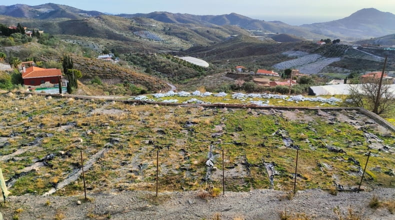 Granada - Vélez de Benaudalla - 18000m2