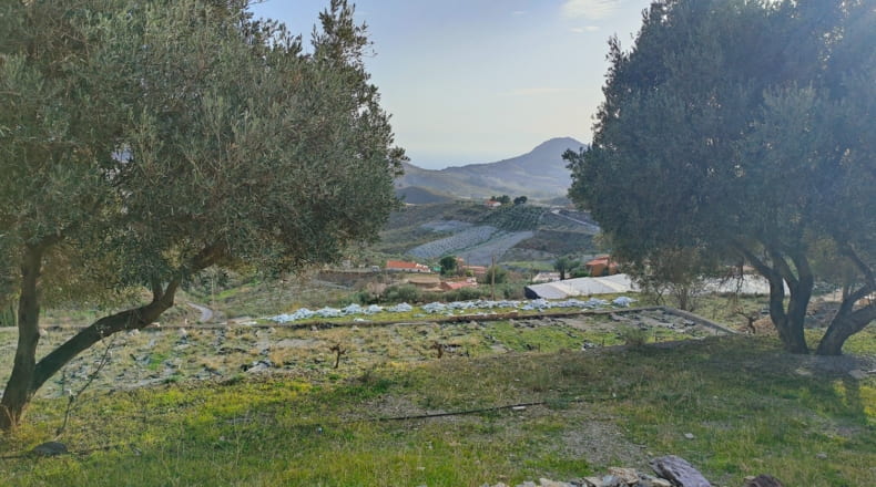 Granada - Vélez de Benaudalla - 18000m2