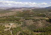 Земельный участок на продажу в городе Iznalloz Фото