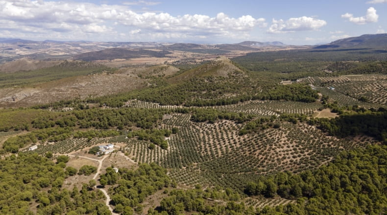 Granada - Iznalloz - 150000m2