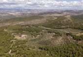 Земельный участок на продажу в городе Iznalloz Фото