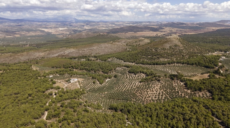 Granada - Iznalloz - 150000m2