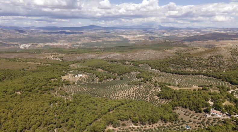 Granada - Iznalloz - 150000m2