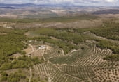 Земельный участок на продажу в городе Iznalloz Фото