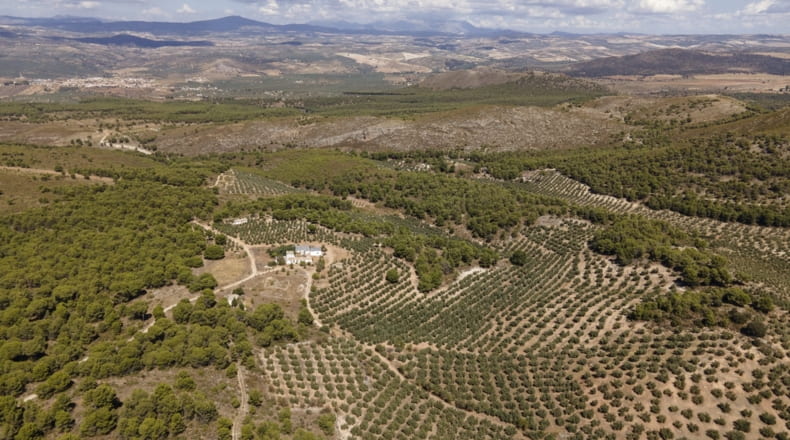Granada - Iznalloz - 150000m2