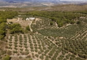 Земельный участок на продажу в городе Iznalloz Фото