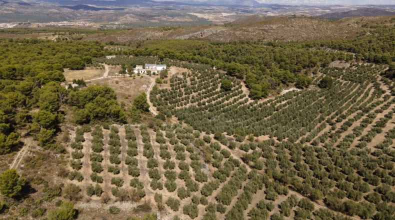 Granada - Iznalloz - 150000m2