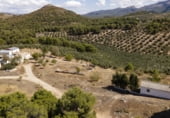 Земельный участок на продажу в городе Iznalloz Фото