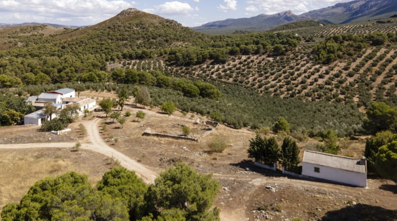 Granada - Iznalloz - 150000m2