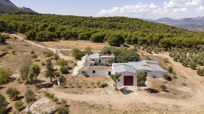 Granada - Iznalloz - 150000m2