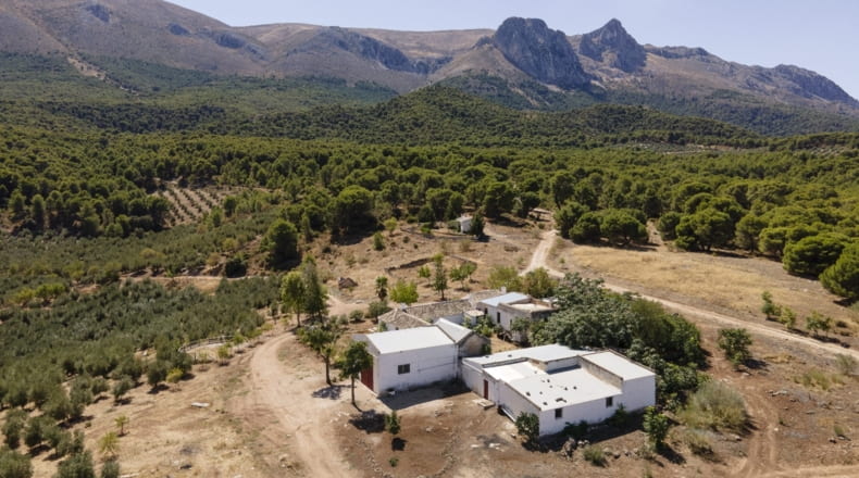 Granada - Iznalloz - 150000m2