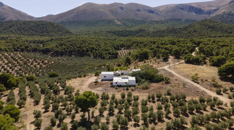 Granada - Iznalloz - 150000m2