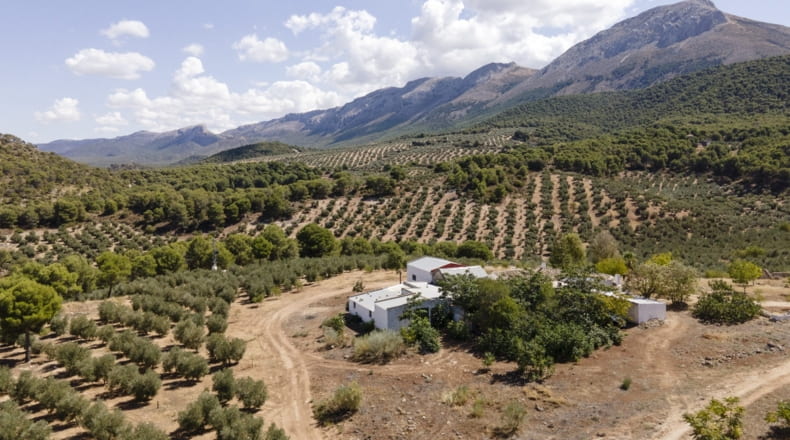 Granada - Iznalloz - 150000m2