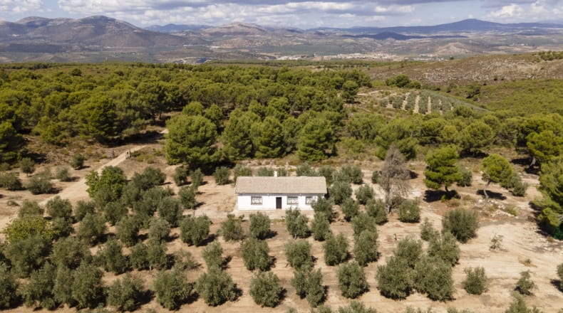 Granada - Iznalloz - 150000m2
