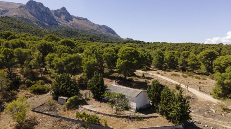Granada - Iznalloz - 150000m2