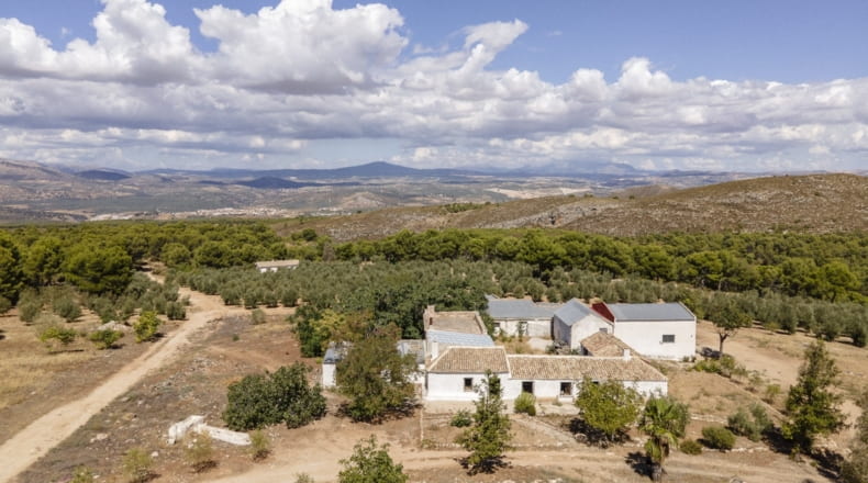 Granada - Iznalloz - 150000m2