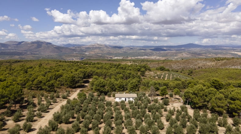 Granada - Iznalloz - 150000m2