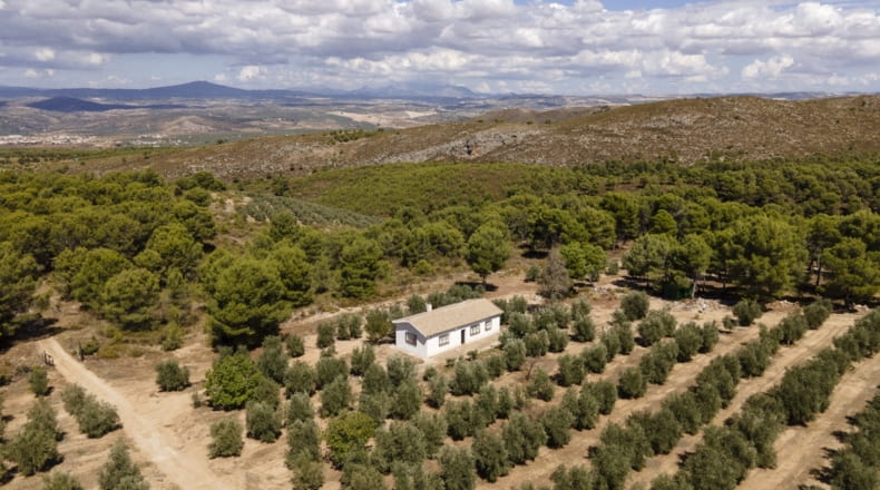 Granada - Iznalloz - 150000m2