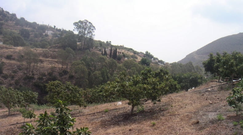 Málaga - Mijas - 55000m2