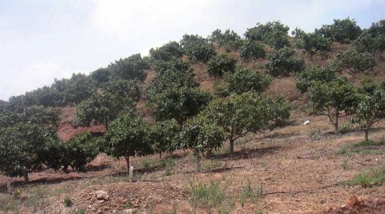 Málaga - Mijas - 55000m2
