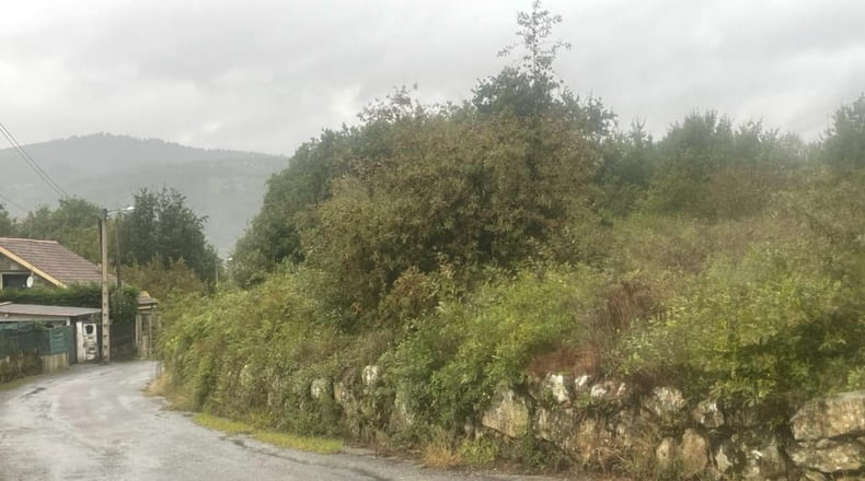 Orense - Orense - 820m2