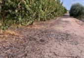 Non-developable land for sale on Camí Tossalet, Sudanell, ref: TR92815 photo