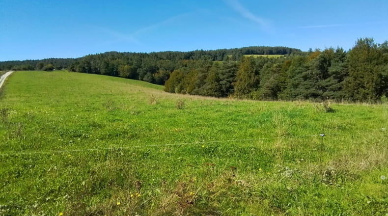 Navarra - Abaurrea Alta - 60000m2