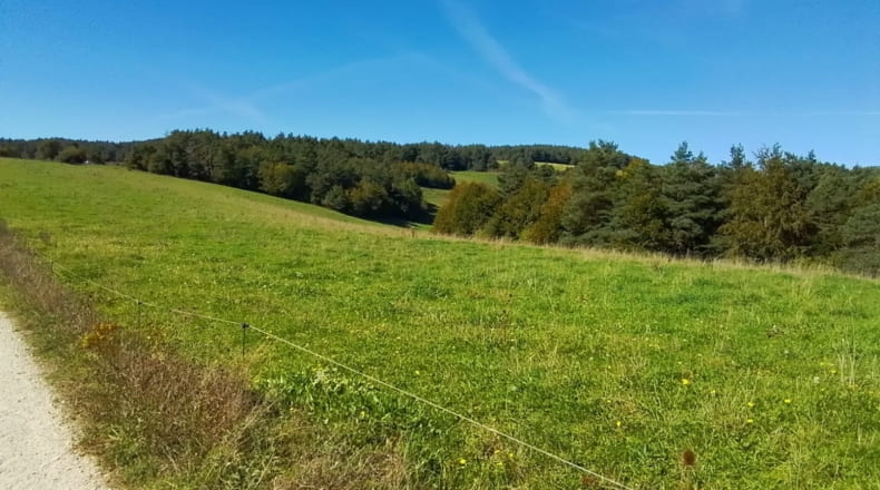 Navarra - Abaurrea Alta - 60000m2
