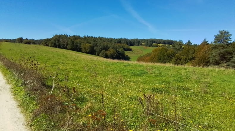 Navarra - Abaurrea Alta - 60000m2