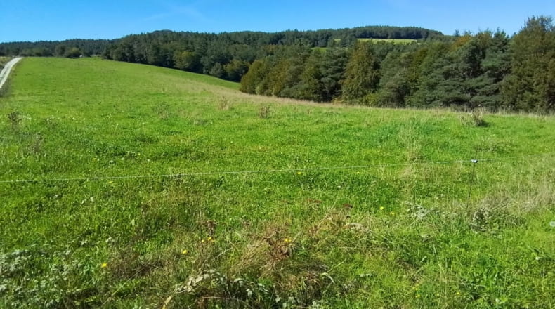 Navarra - Abaurrea Alta - 60000m2
