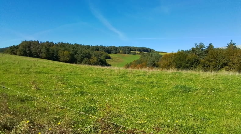 Navarra - Abaurrea Alta - 60000m2