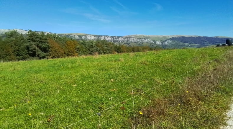 Navarra - Abaurrea Alta - 60000m2