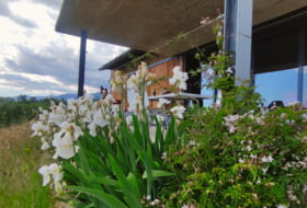 Foto 15