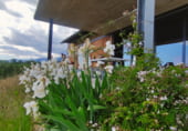 Country house with land for sale on El Raso, ref: TR93251 photo
