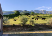 Country house with land for sale on El Raso, ref: TR93251 photo