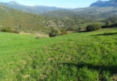 Casa prefabricada amb terreny en venda a la El Almendro, Casares, ref.: TR93255 foto