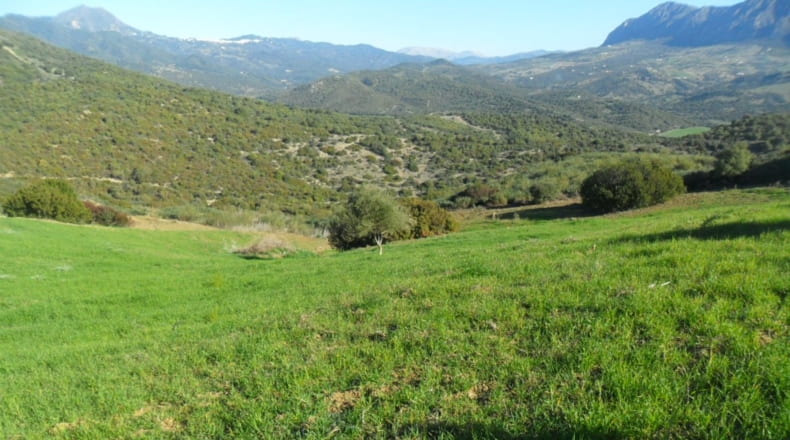 Málaga - Casares - 150000m2