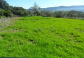 Casa prefabricada amb terreny en venda a la El Almendro, Casares, ref.: TR93255 foto