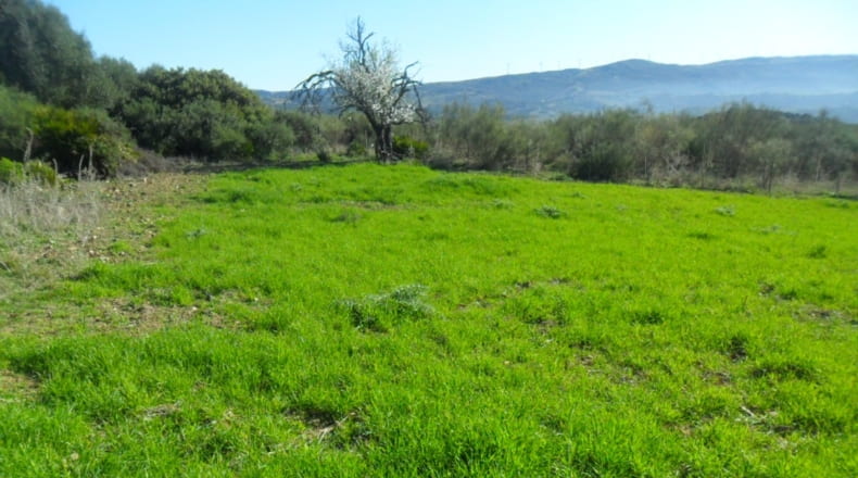 Málaga - Casares - 150000m2