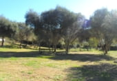 Casa prefabricada amb terreny en venda a la El Almendro, Casares, ref.: TR93255 foto
