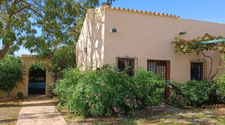 Sevilla - Olivares - 22600m2