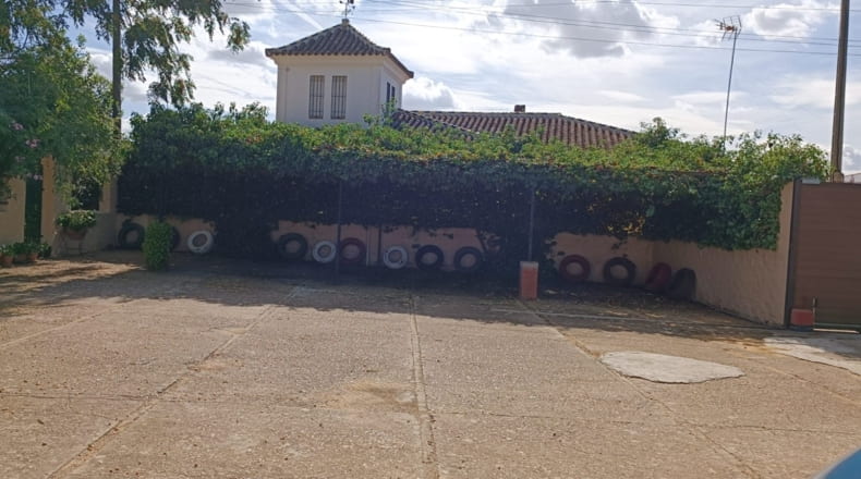 Sevilla - Olivares - 22600m2