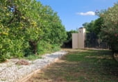 Finca rústica en venda a la Carretera Olivares-Sanlúcar La Mayor, Olivares, ref.: TR93252 foto