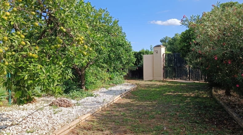 Sevilla - Olivares - 22600m2