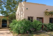 Finca rústica en venda a la Carretera Olivares-Sanlúcar La Mayor, Olivares, ref.: TR93252 foto