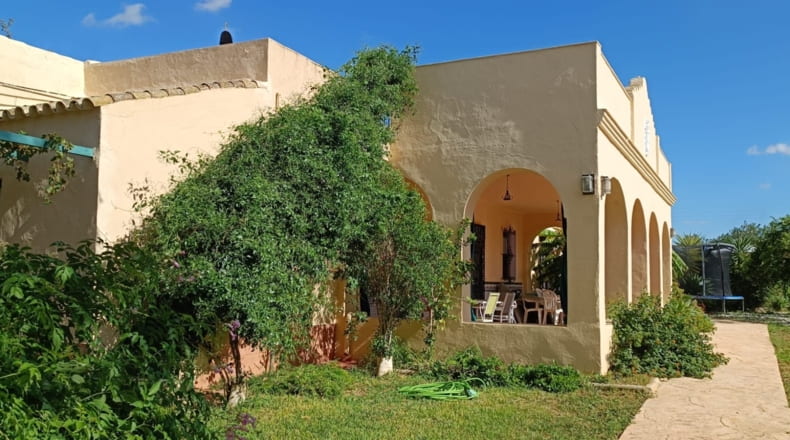 Sevilla - Olivares - 22600m2