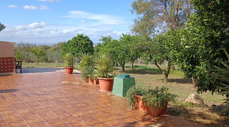 Sevilla - Olivares - 22600m2