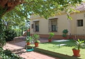 Finca rústica en venda a la Carretera Olivares-Sanlúcar La Mayor, Olivares, ref.: TR93252 foto
