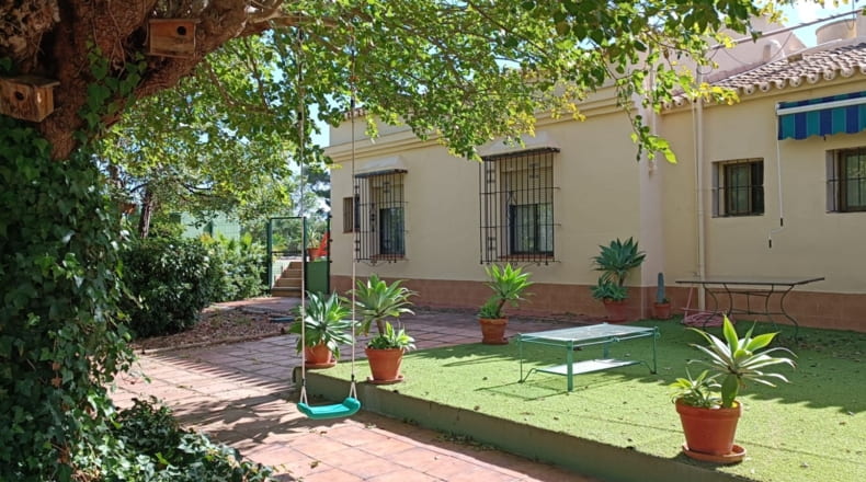 Sevilla - Olivares - 22600m2