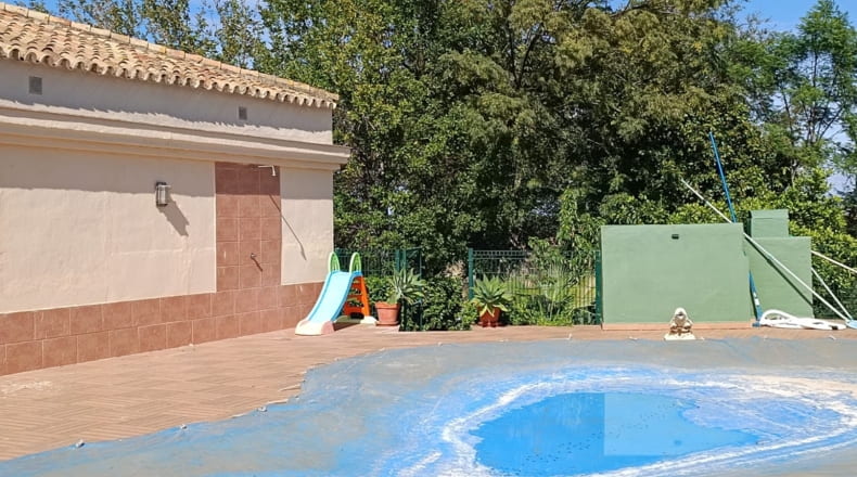 Sevilla - Olivares - 22600m2